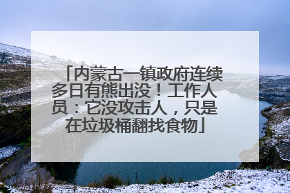 内蒙古一镇政府连续多日有熊出没！工作人员：它没攻击人，只是在垃圾桶翻找食物