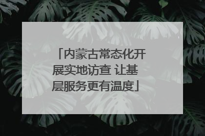 内蒙古常态化开展实地访查 让基层服务更有温度