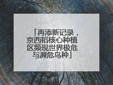 再添新记录，京西稻核心种植区频现世界极危与濒危鸟种