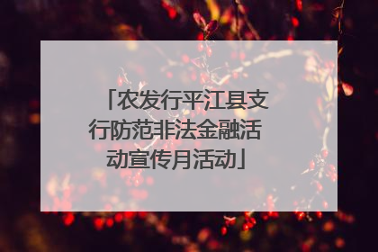 农发行平江县支行防范非法金融活动宣传月活动