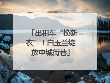 出租车“换新衣”！白玉兰绽放申城街巷