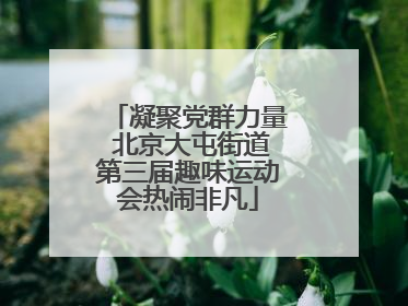 凝聚党群力量 北京大屯街道第三届趣味运动会热闹非凡