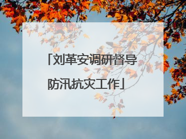 刘革安调研督导防汛抗灾工作
