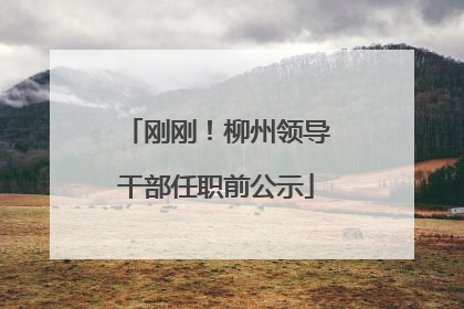 刚刚！柳州领导干部任职前公示