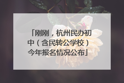 刚刚，杭州民办初中（含民转公学校）今年报名情况公布