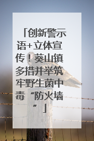 创新警示语+立体宣传！葵山镇多措并举筑牢野生菌中毒“防火墙”