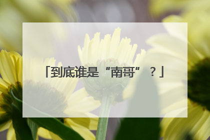 到底谁是“南哥”？