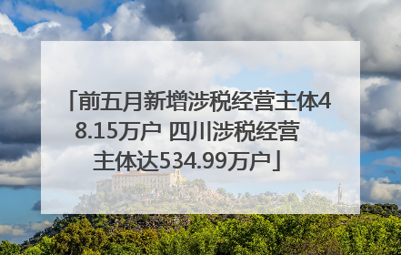前五月新增涉税经营主体48.15万户 四川涉税经营主体达534.99万户