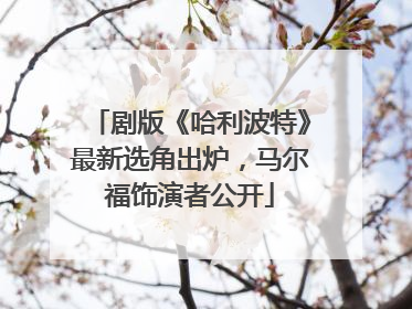 剧版《哈利波特》最新选角出炉，马尔福饰演者公开