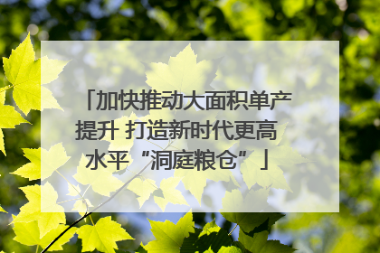 加快推动大面积单产提升 打造新时代更高水平“洞庭粮仓”