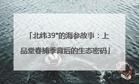 北纬39°的海参故事：上品堂春捕季背后的生态密码