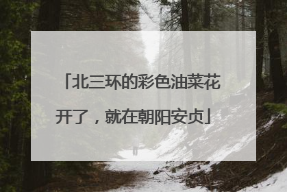 北三环的彩色油菜花开了，就在朝阳安贞