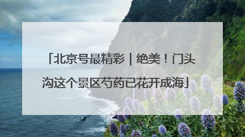 北京号最精彩｜绝美！门头沟这个景区芍药已花开成海