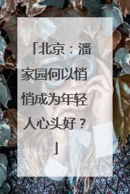 北京：潘家园何以悄悄成为年轻人心头好？