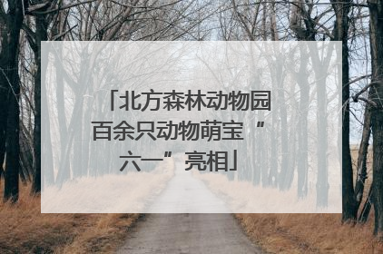 北方森林动物园百余只动物萌宝“六一”亮相