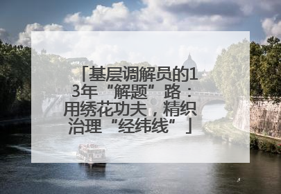 基层调解员的13年“解题”路：用绣花功夫，精织治理“经纬线”