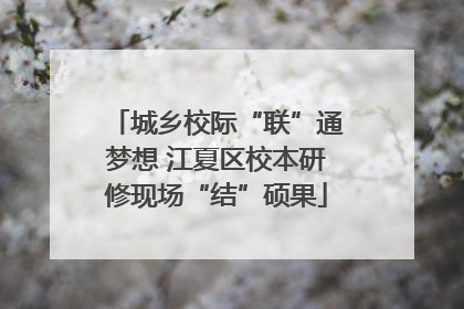 城乡校际“联”通梦想 江夏区校本研修现场“结”硕果