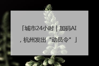 城市24小时｜加码AI，杭州发出“动员令”