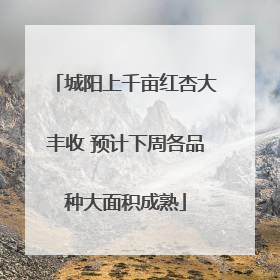 城阳上千亩红杏大丰收 预计下周各品种大面积成熟