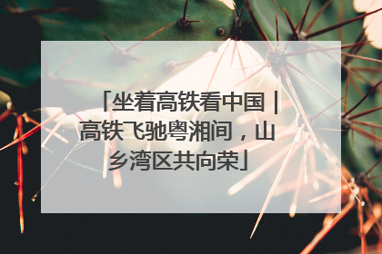坐着高铁看中国｜高铁飞驰粤湘间，山乡湾区共向荣
