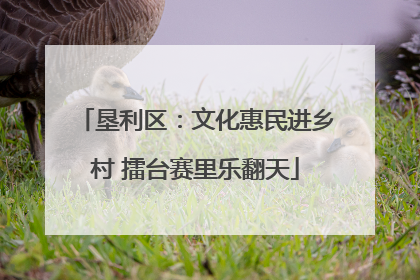 垦利区:文化惠民进乡村 擂台赛里乐翻天