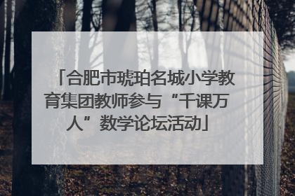 合肥市琥珀名城小学教育集团教师参与“千课万人”数学论坛活动