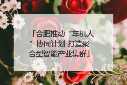 合肥推动“车机人”协同计划 打造聚合型智能产业集群