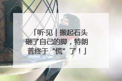 听·见｜搬起石头砸了自己的脚，特朗普终于“慌”了！