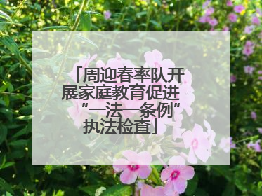 周迎春率队开展家庭教育促进“一法一条例”执法检查