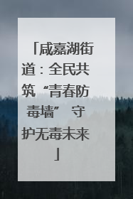 咸嘉湖街道：全民共筑“青春防毒墙” 守护无毒未来
