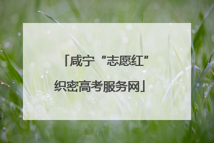 咸宁“志愿红”织密高考服务网