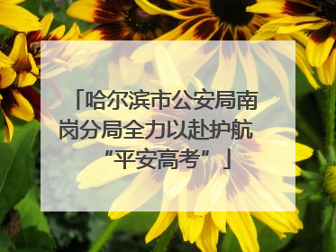 哈尔滨市公安局南岗分局全力以赴护航“平安高考”