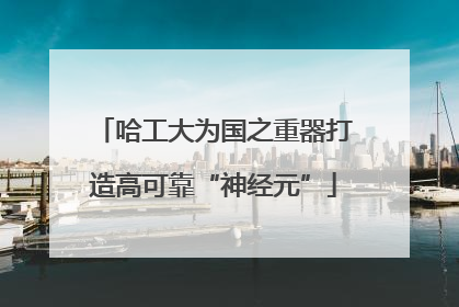 哈工大为国之重器打造高可靠“神经元”