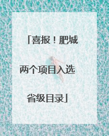 喜报！肥城两个项目入选省级目录