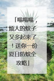 嗡嗡嗡，烦人的蚊子又多起来了！送你一份夏日防蚊全攻略