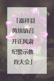 嘉祥县黄垓镇召开正风肃纪警示教育大会