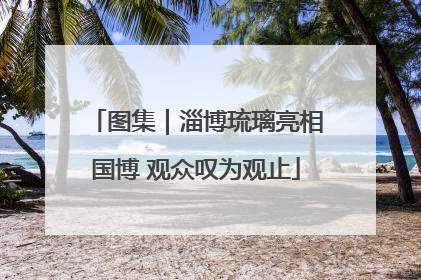 图集｜淄博琉璃亮相国博 观众叹为观止