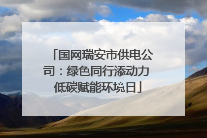 国网瑞安市供电公司：绿色同行添动力 低碳赋能环境日