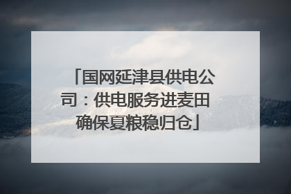 国网延津县供电公司：供电服务进麦田 确保夏粮稳归仓
