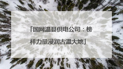 国网温县供电公司：榜样力量浸润古温大地