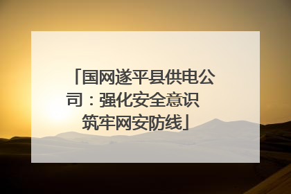 国网遂平县供电公司：强化安全意识 筑牢网安防线