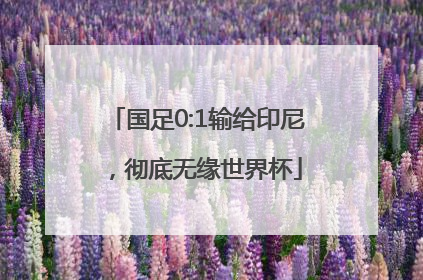 国足0:1输给印尼，彻底无缘世界杯