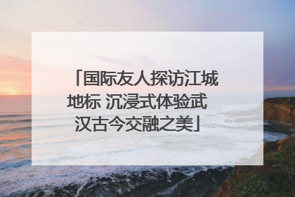 国际友人探访江城地标 沉浸式体验武汉古今交融之美
