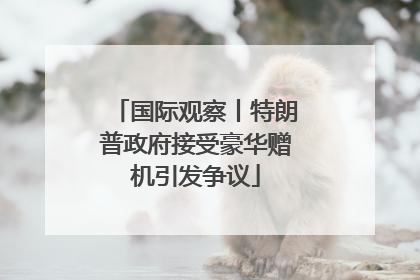 国际观察丨特朗普政府接受豪华赠机引发争议