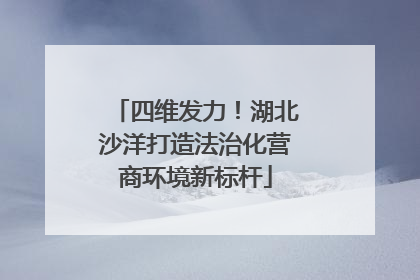 四维发力！湖北沙洋打造法治化营商环境新标杆