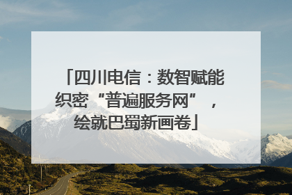 四川电信：数智赋能织密“普遍服务网”，绘就巴蜀新画卷