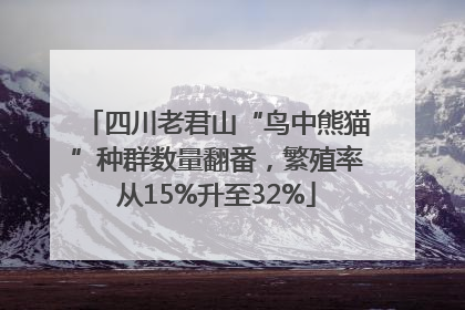 四川老君山“鸟中熊猫”种群数量翻番，繁殖率从15%升至32%