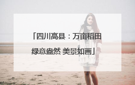 四川高县：万亩稻田绿意盎然 美景如画