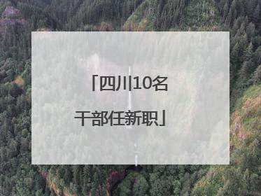 四川10名干部任新职