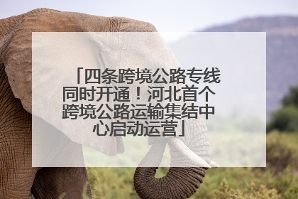 四条跨境公路专线同时开通！河北首个跨境公路运输集结中心启动运营